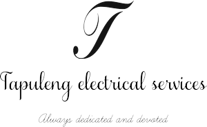 Tapuleng Electrical Services logo